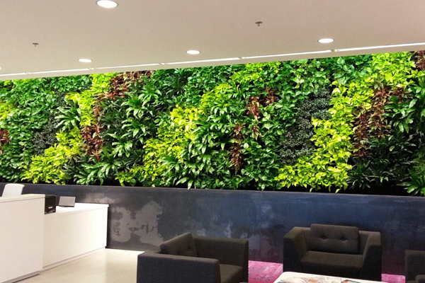 interior plantscaping